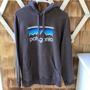 Patagonia Sweatshirt Men’s M